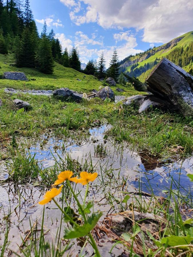 Bichlhof Daire Kaisers Dış mekan fotoğraf