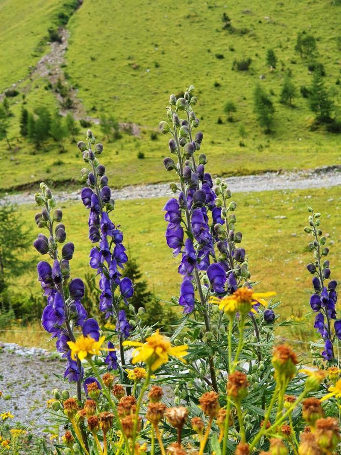 Bichlhof Daire Kaisers Dış mekan fotoğraf