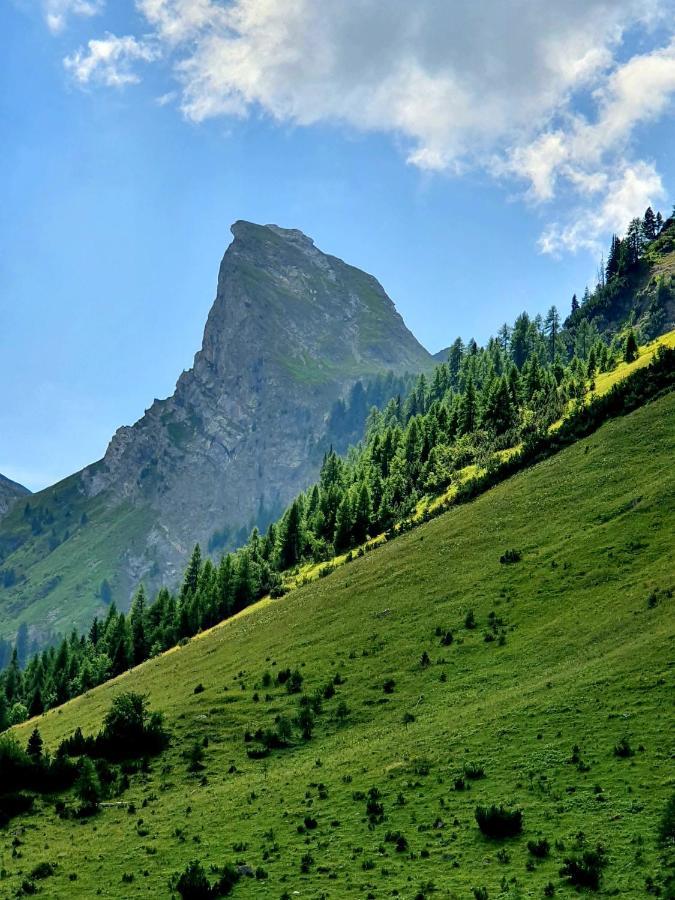 Bichlhof Daire Kaisers Dış mekan fotoğraf